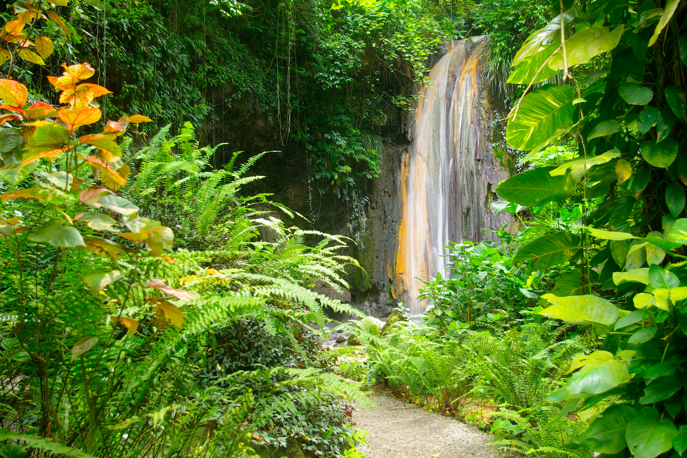 st lucia (2).webp